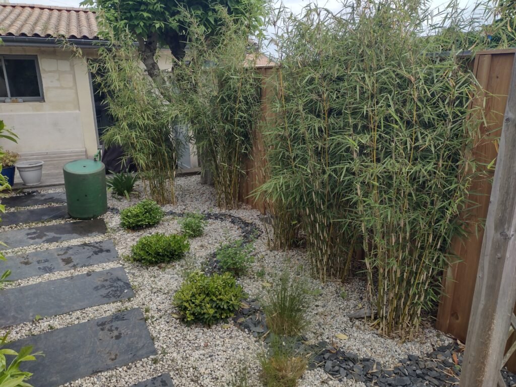 Jardin écologique avec plantations variées en Gironde