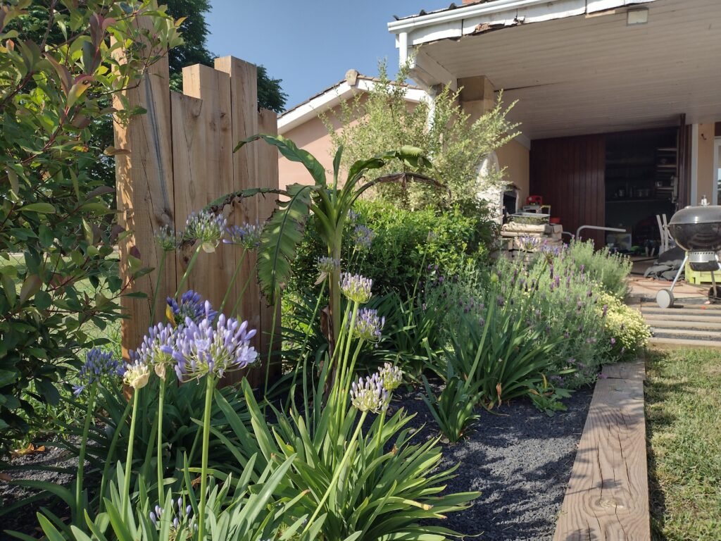 Massif végétal luxuriant et fleuri